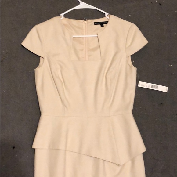 Antonio Melani Tan Dress - Picture 2 of 5